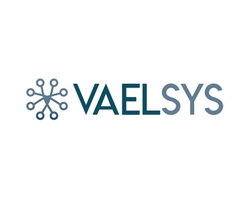 vaelsys-sistema-videoanalisis-madrid-seguridad